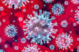 covid19 covid virus icon